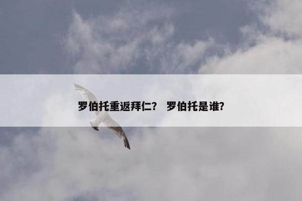 罗伯托重返拜仁？ 罗伯托是谁？