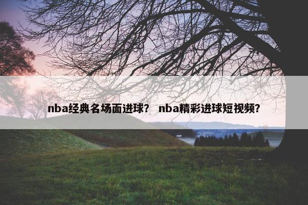 nba经典名场面进球？ nba精彩进球短视频？
