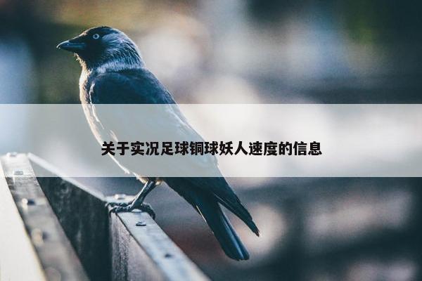 关于实况足球铜球妖人速度的信息