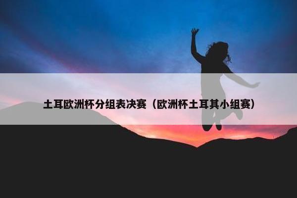 土耳欧洲杯分组表决赛（欧洲杯土耳其小组赛）