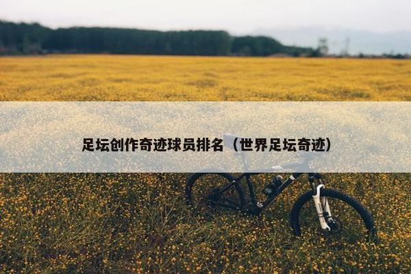 足坛创作奇迹球员排名（世界足坛奇迹）