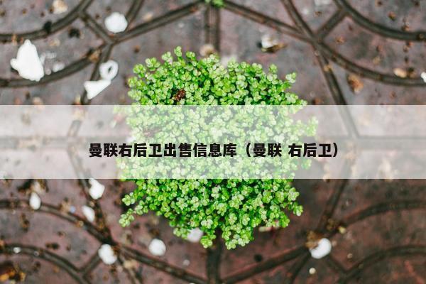 曼联右后卫出售信息库（曼联 右后卫）