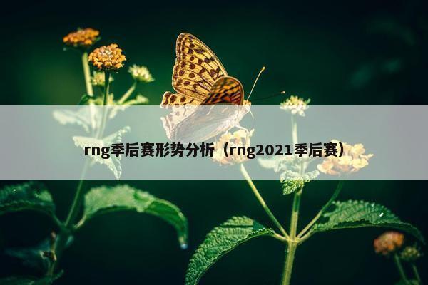 rng季后赛形势分析（rng2021季后赛）
