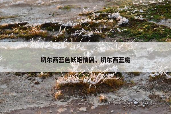 切尔西蓝色妖姬情侣，切尔西蓝魔