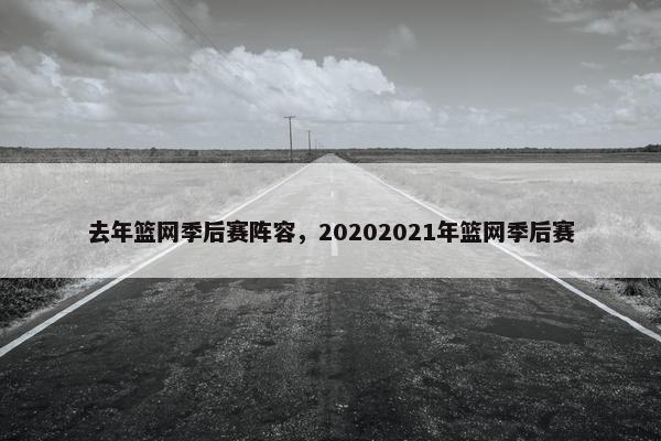 去年篮网季后赛阵容，20202021年篮网季后赛