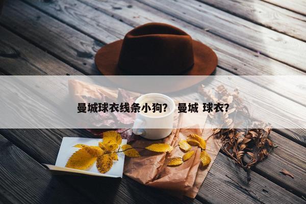 曼城球衣线条小狗？ 曼城 球衣？