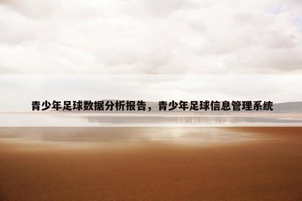 青少年足球数据分析报告，青少年足球信息管理系统