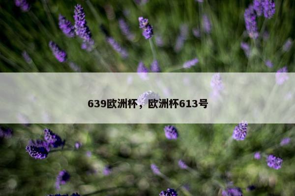 639欧洲杯，欧洲杯613号