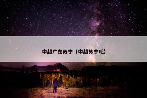 中超广东苏宁（中超苏宁吧）