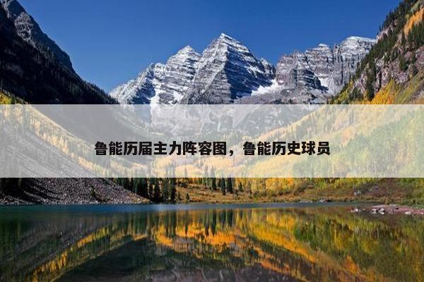 鲁能历届主力阵容图，鲁能历史球员