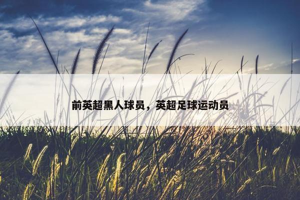 前英超黑人球员，英超足球运动员
