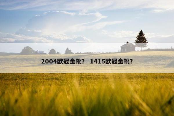2004欧冠金靴？ 1415欧冠金靴？