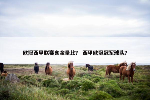 欧冠西甲联赛含金量比？ 西甲欧冠冠军球队？