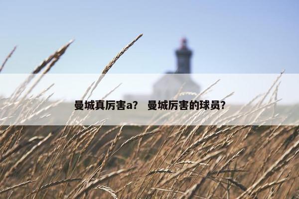 曼城真厉害a？ 曼城厉害的球员？
