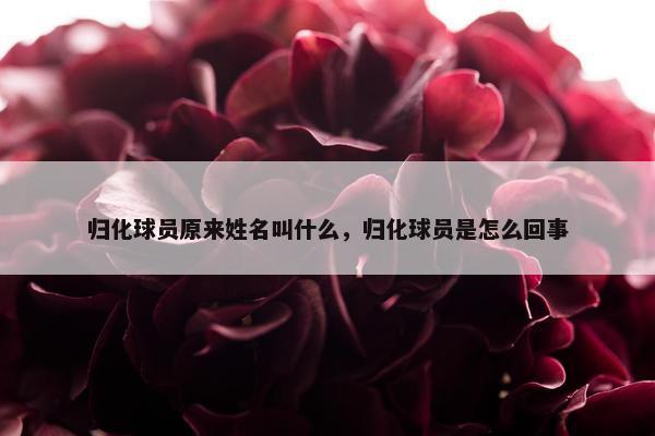 归化球员原来姓名叫什么，归化球员是怎么回事