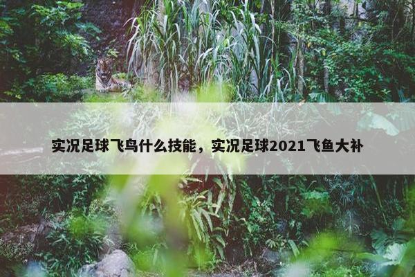 实况足球飞鸟什么技能，实况足球2021飞鱼大补