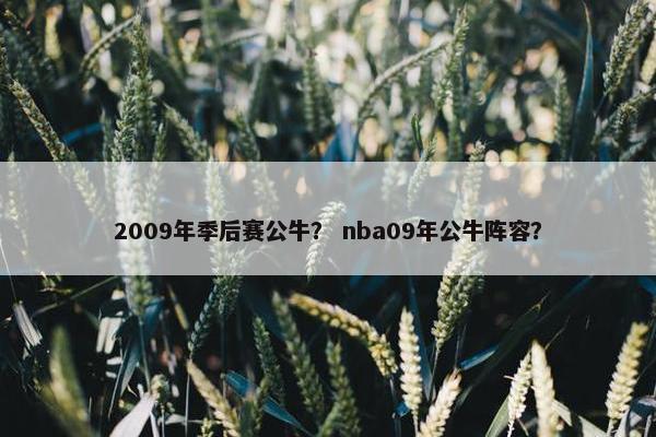 2009年季后赛公牛？ nba09年公牛阵容？