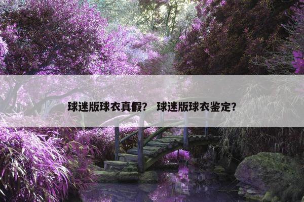 球迷版球衣真假？ 球迷版球衣鉴定？