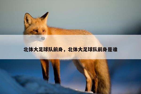 北体大足球队前身，北体大足球队前身是谁