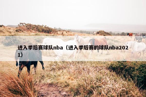 进入季后赛球队nba（进入季后赛的球队nba2021）