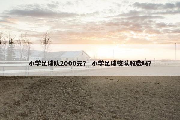 小学足球队2000元？ 小学足球校队收费吗？