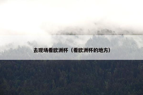 去现场看欧洲杯（看欧洲杯的地方）