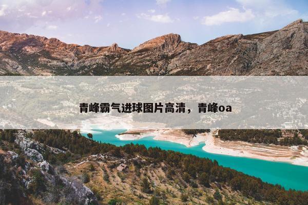 青峰霸气进球图片高清，青峰oa