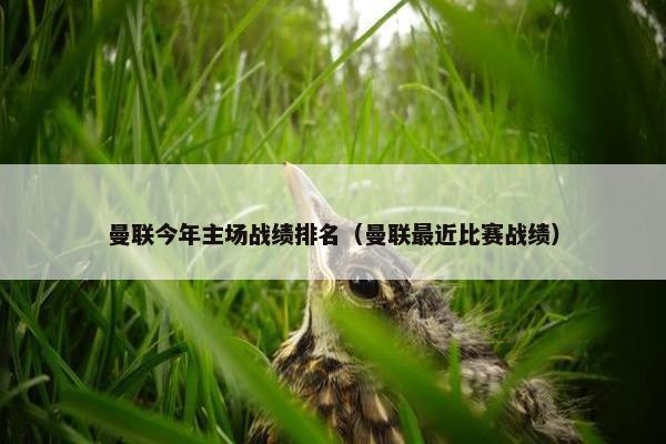 曼联今年主场战绩排名（曼联最近比赛战绩）