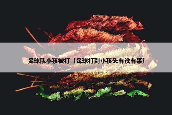 足球队小孩被打（足球打到小孩头有没有事）