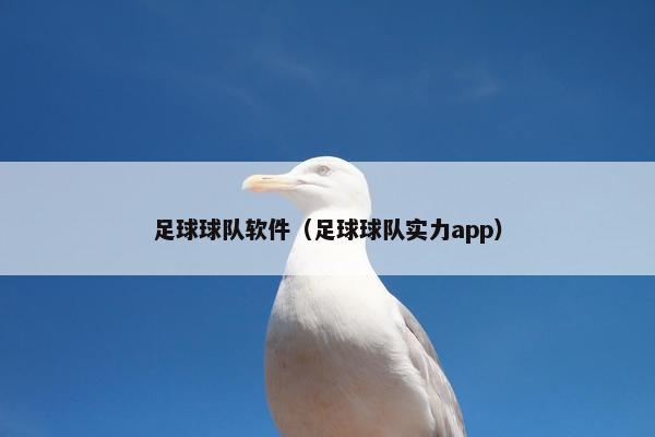 足球球队软件（足球球队实力app）