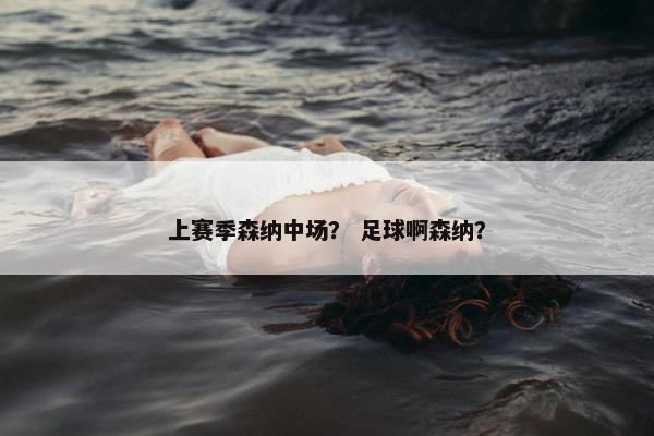 上赛季森纳中场？ 足球啊森纳？