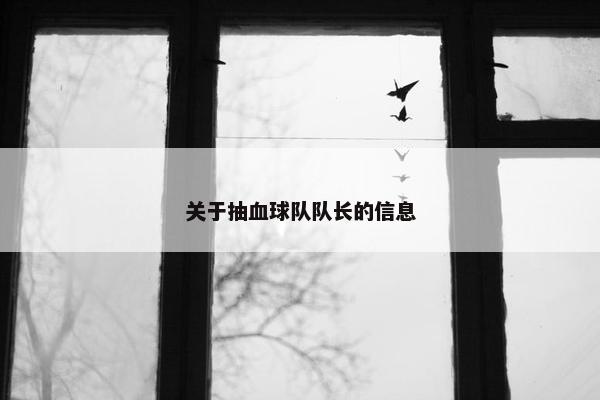 关于抽血球队队长的信息