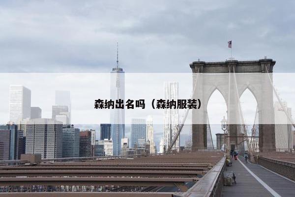森纳出名吗（森纳服装）