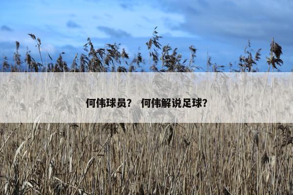 何伟球员？ 何伟解说足球？