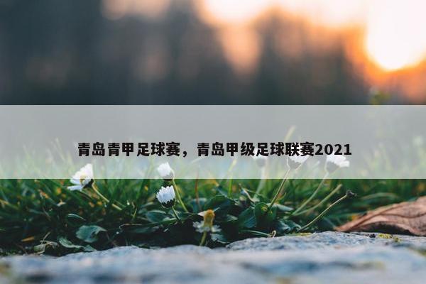 青岛青甲足球赛，青岛甲级足球联赛2021