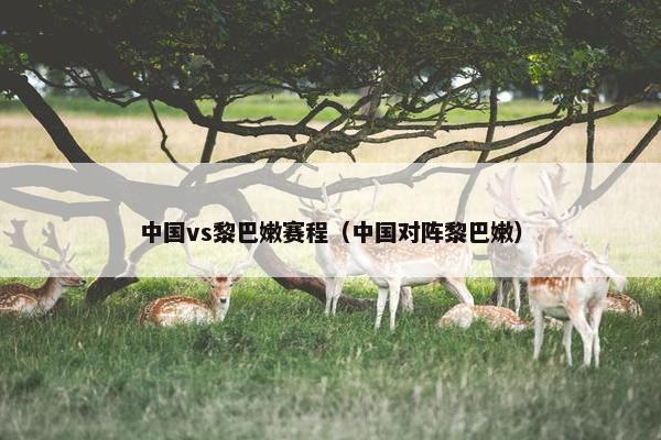 中国vs黎巴嫩赛程（中国对阵黎巴嫩）