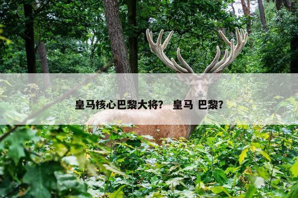 皇马核心巴黎大将？ 皇马 巴黎？