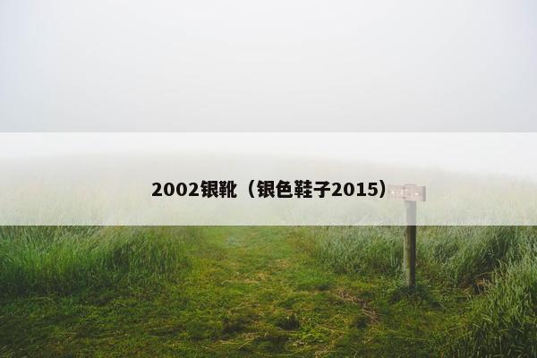 2002银靴（银色鞋子2015）
