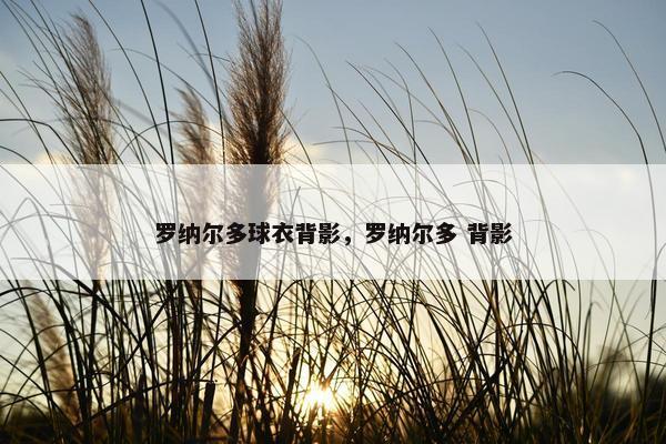 罗纳尔多球衣背影，罗纳尔多 背影