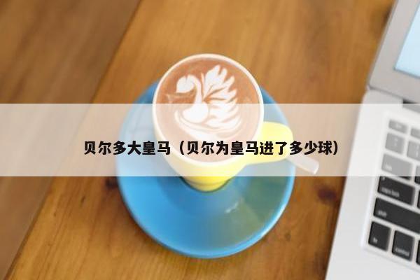 贝尔多大皇马（贝尔为皇马进了多少球）
