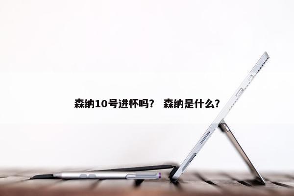 森纳10号进杯吗？ 森纳是什么？