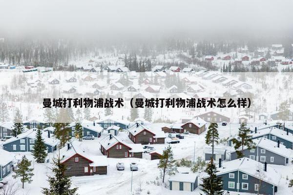 曼城打利物浦战术（曼城打利物浦战术怎么样）