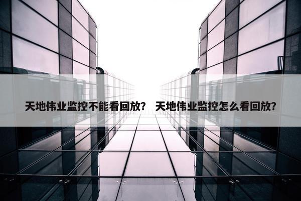 天地伟业监控不能看回放？ 天地伟业监控怎么看回放？