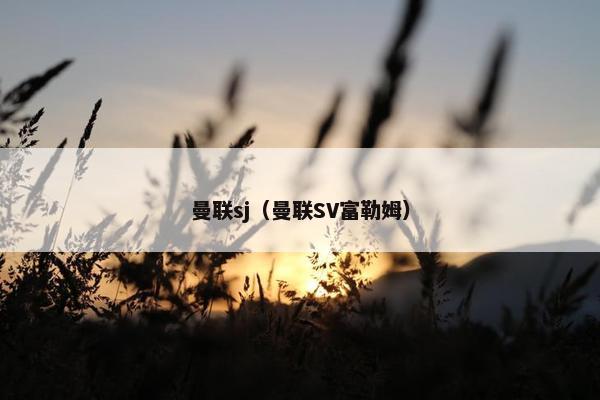 曼联sj（曼联SV富勒姆）