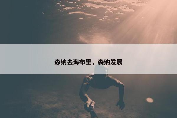 森纳去海布里，森纳发展
