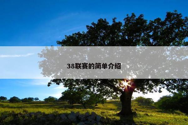 38联赛的简单介绍