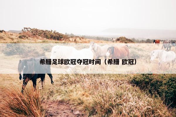 希腊足球欧冠夺冠时间（希腊 欧冠）