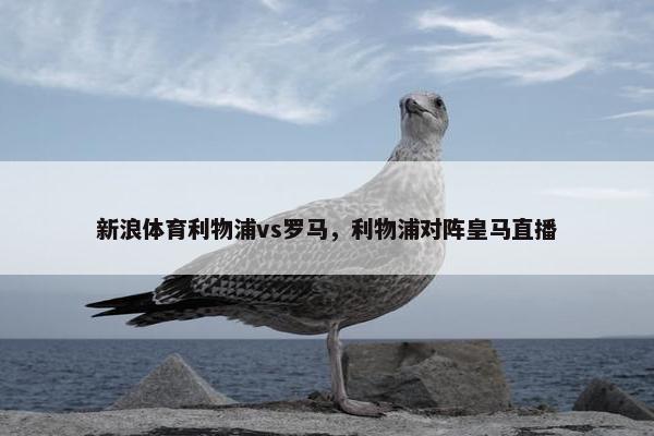 新浪体育利物浦vs罗马，利物浦对阵皇马直播