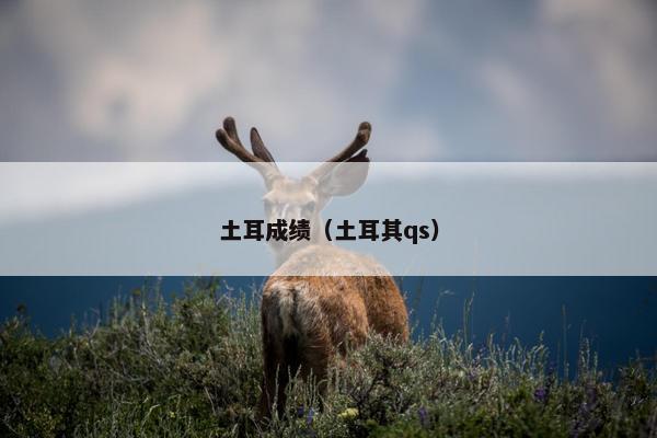 土耳成绩（土耳其qs）