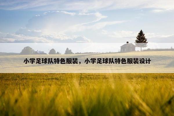 小学足球队特色服装，小学足球队特色服装设计